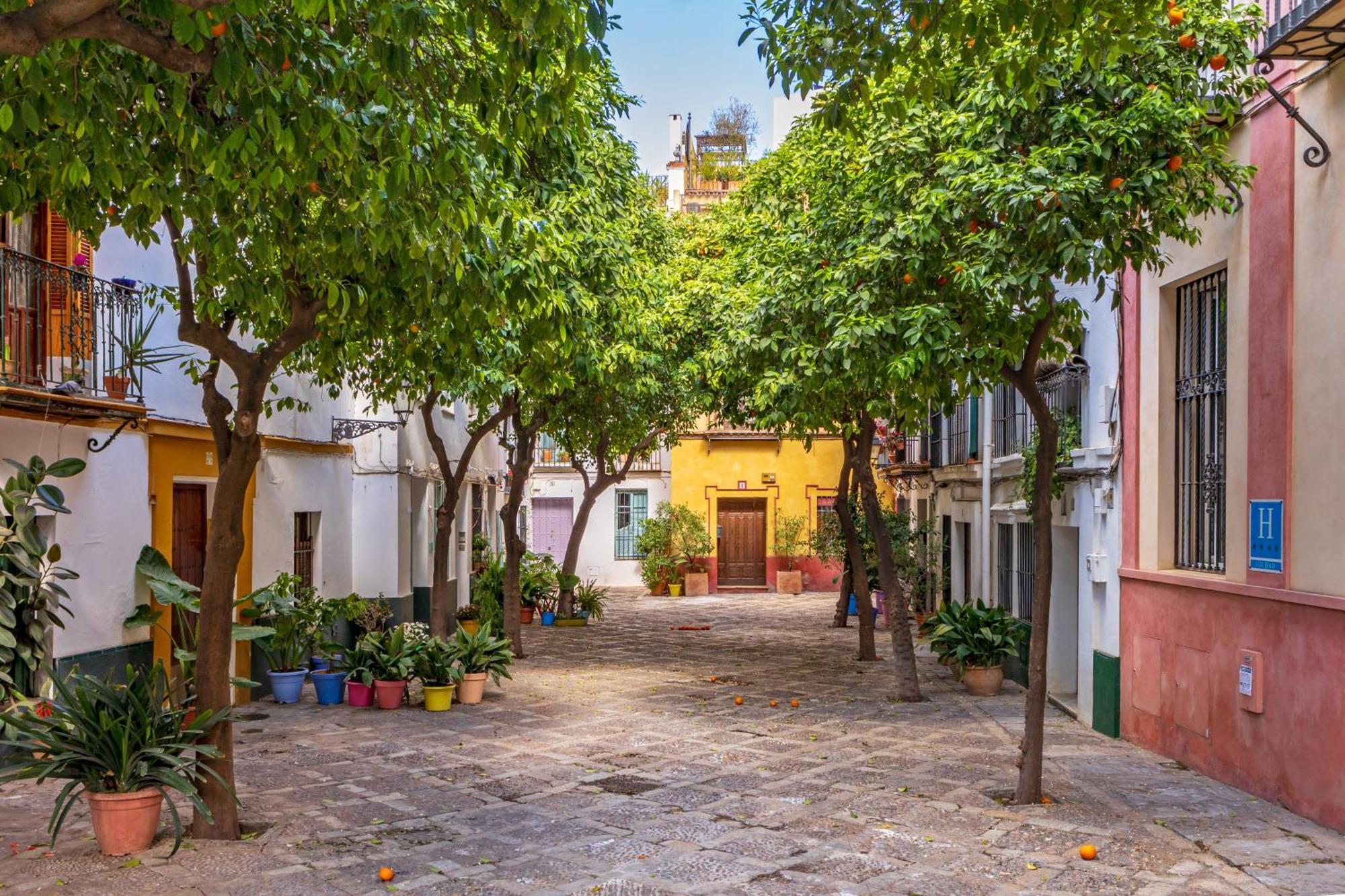 Encantador Apartamento A Un Paso De La Catedral Sevilla Kültér fotó
